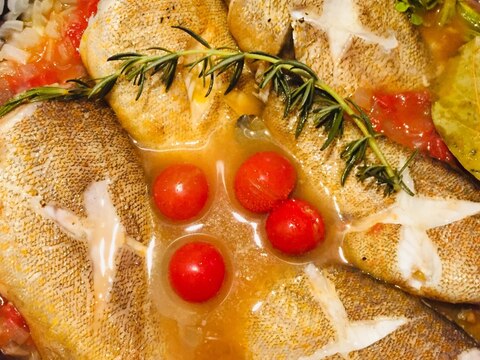 プリプリ白身魚のトマトソース煮